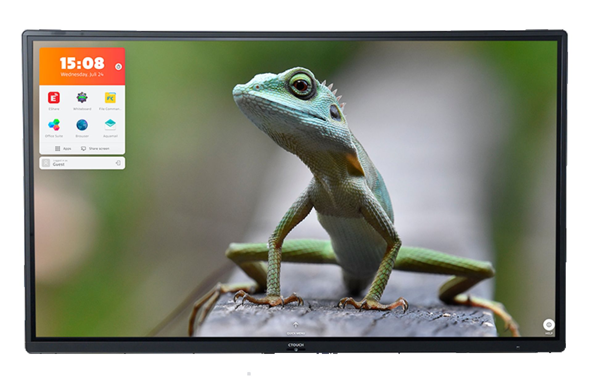 Riva D2 display small