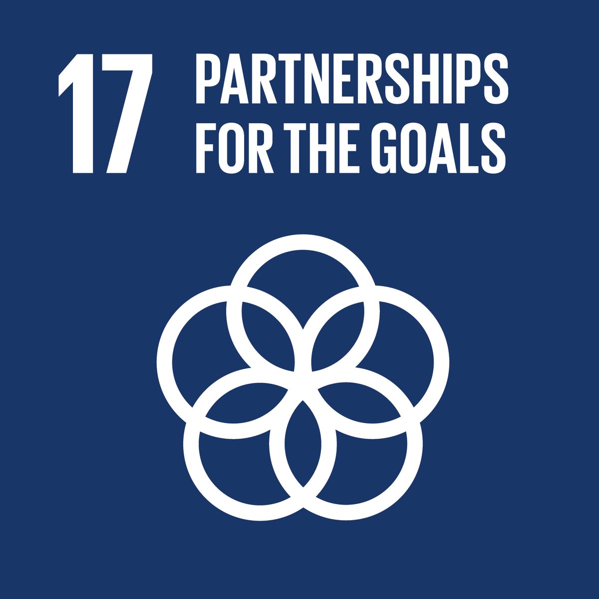 SDG 17 partnership for the goals