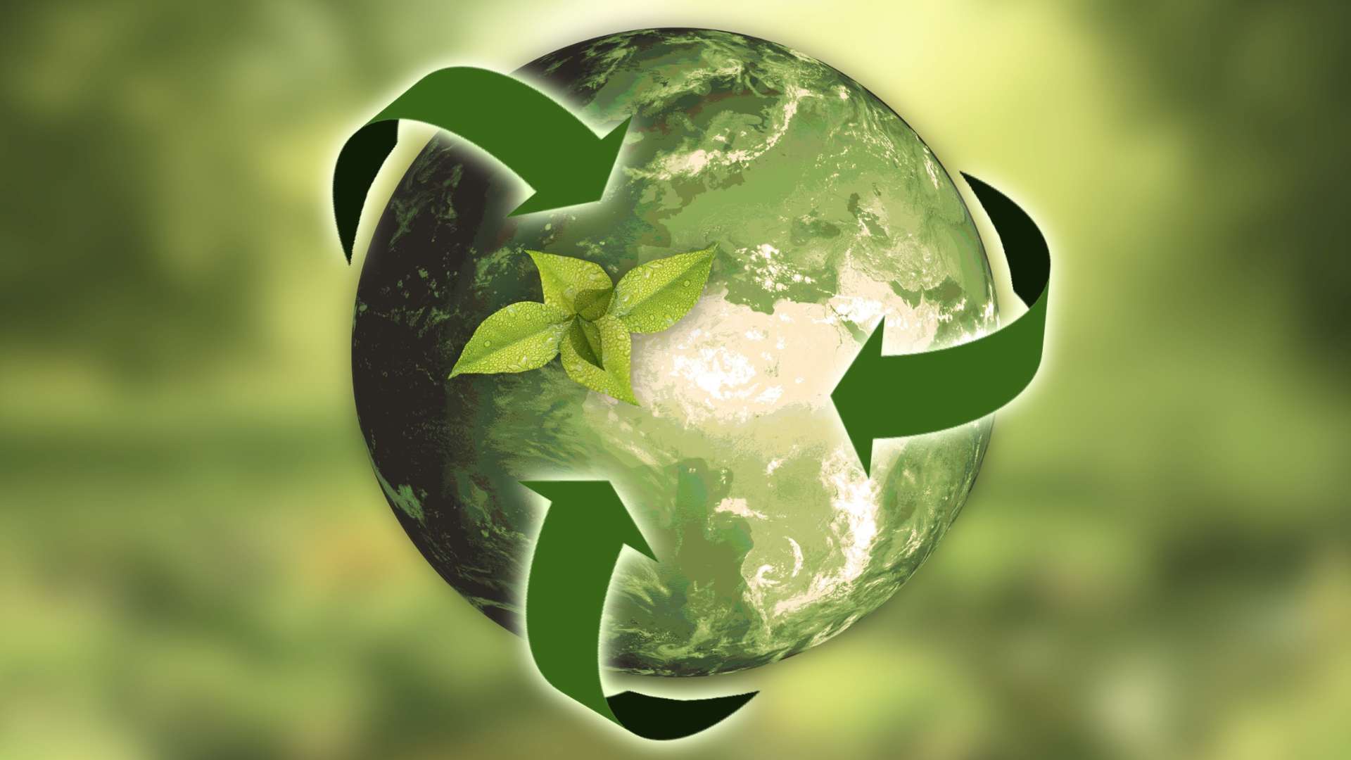 Sustainable world circular